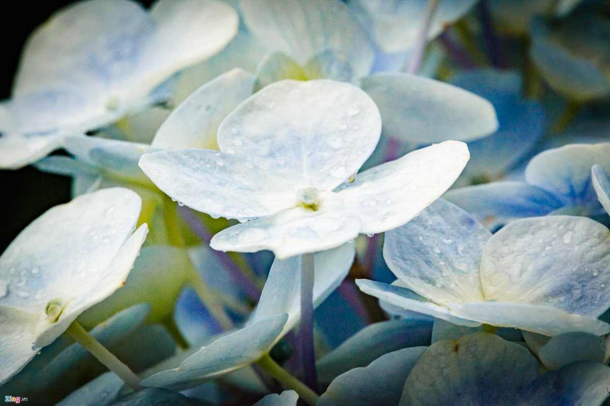 Malorie Paille (@maloriepaille) on Twitter photo 