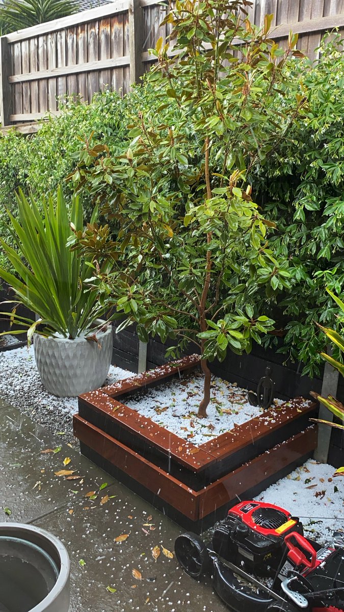 dejasurrey's tweet photo. @JaneBunn Sunbury turning white #welcomesummer https://t.co/B8SduMsgww