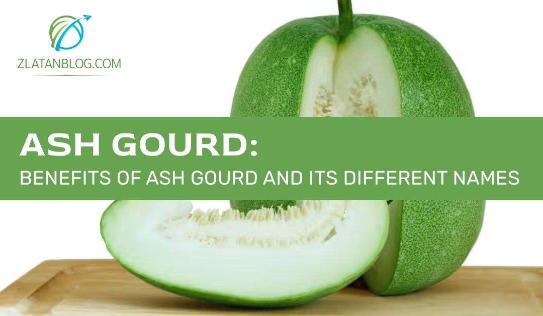 Blog Link:- zlatanblog.com/ash-gourd-bene…
------------------------------------------------
ZlatanBlog is the perfect destination for trusted Entertainment, Sports, Education, Business, and Health news and the latest updates. #ashgourd