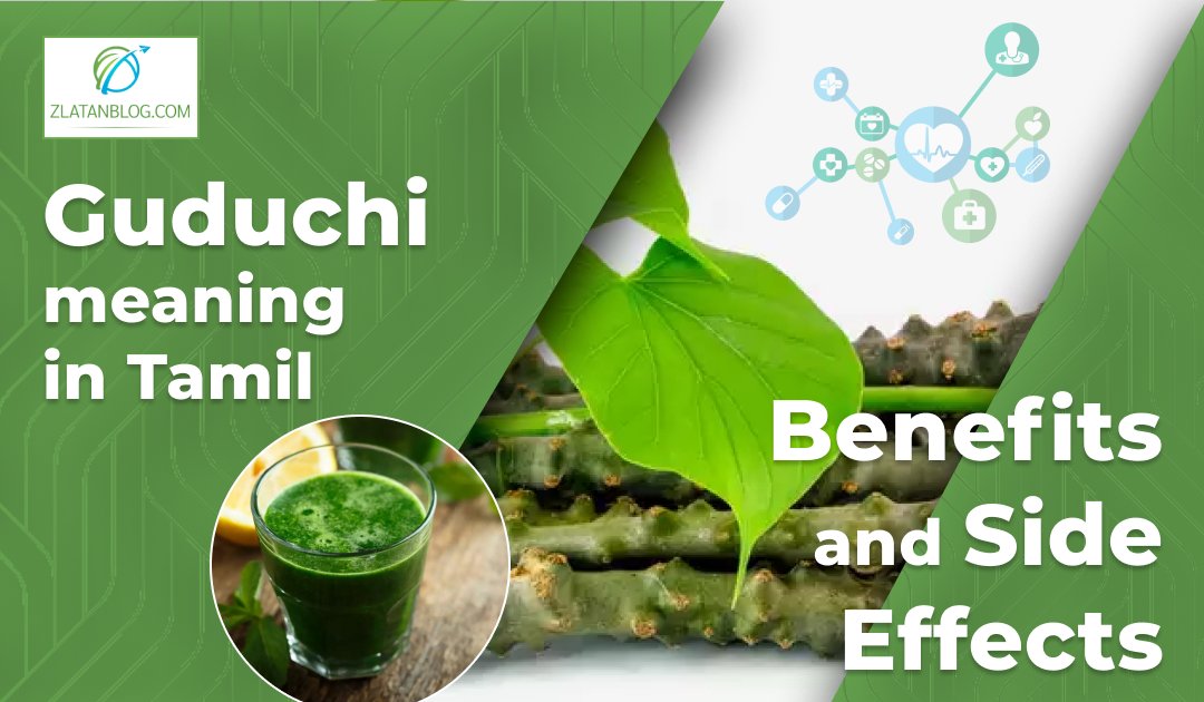 Blog Link:-zlatanblog.com/guduchi-meanin…
------------------------------------------------------------------------
ZlatanBlog is the perfect destination for trusted Entertainment, Sports, Education, Business, and Health news and the latest updates. #Guduchi