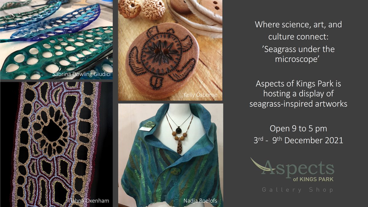 Elizabeth Sinclair 🇦🇺🇺🇦 tweet media