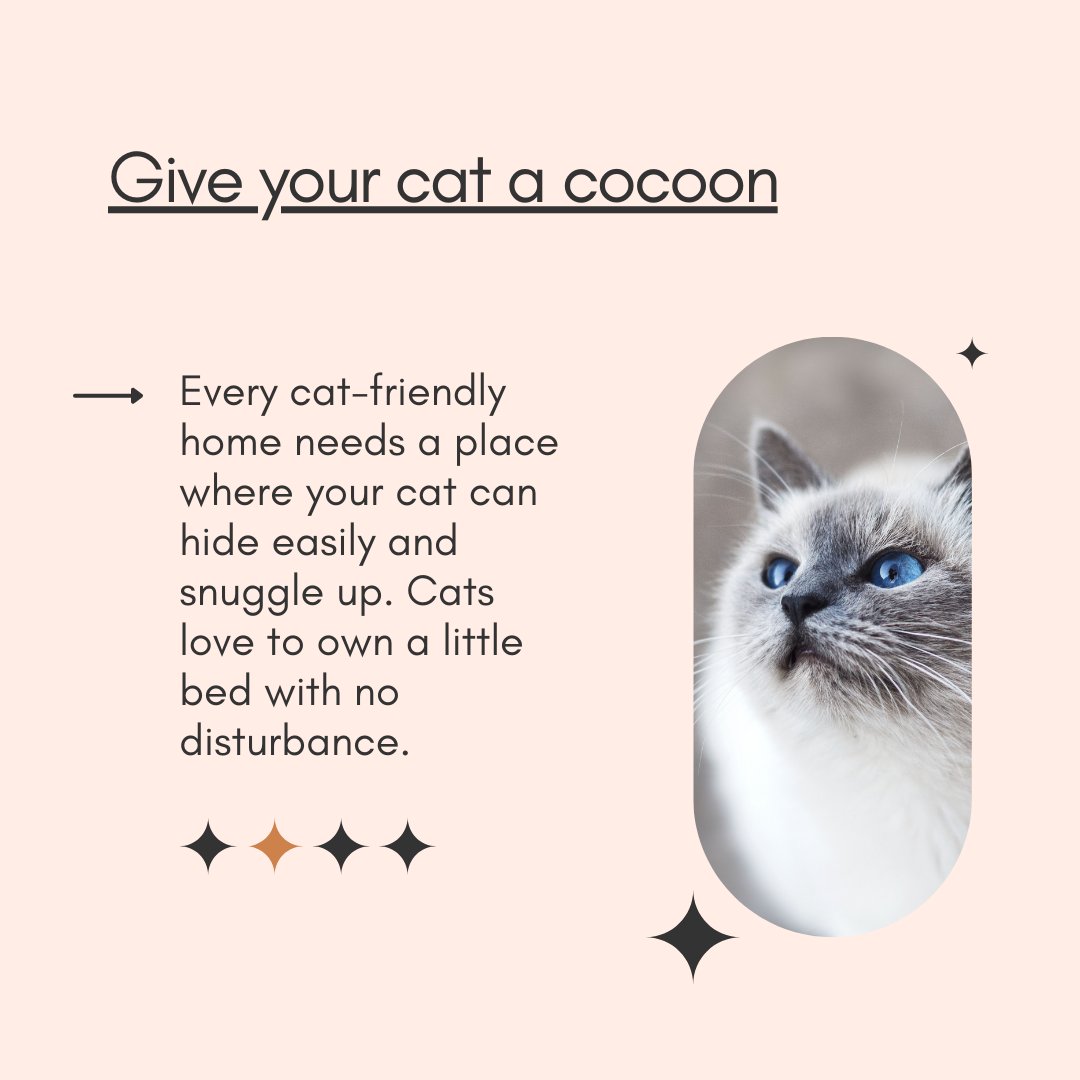 petofyindia's tweet photo. #catloverstricks December is a month for cat lovers...Here are a few tricks to create a cat-friendly home for all the crazy cat lovers out there...
✅ Read More: https://t.co/FaaeYgIJJT
.
.
#catloversclub #dogsofinstagramworld #cat #dog #catsofinstagram #catlife #catlover https://t.co/JiDEnqzw0v