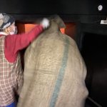命の危険を感じるサウナ!長崎県の「御湯神指しベストパワーランド」!