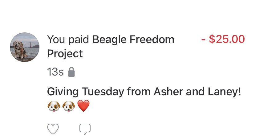 We donate monthly as part of the Rescue Warrior Club, but it doesn’t mean that we wouldn’t give for #GivingTuesday2021 to our favorite charity. Donations doubled, and it’s easy with Venmo, Cashapp, FB! They are @beaglefreedom everywhere! 🐶❤️🙏