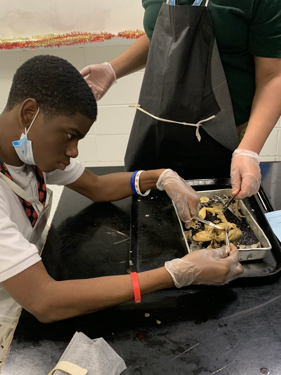 MsHertzler's tweet photo. Science is fun!!! #frogs #fun #LetsGetFilthy @AlbrightMS https://t.co/3MvqvCRnaf