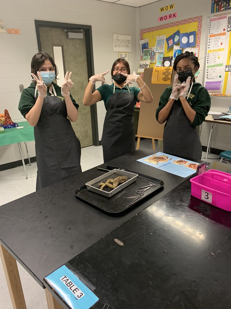 MsHertzler's tweet photo. Science is fun!!! #frogs #fun #LetsGetFilthy @AlbrightMS https://t.co/3MvqvCRnaf
