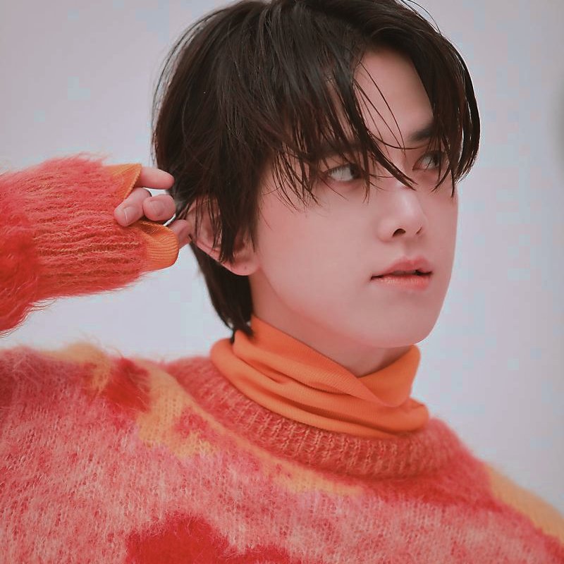 insnnity's tweet photo. ㅤ
ㅤ
ㅤㅤㅤㅤㅤ 암 · so ı𝗳 ꭚou 𝗻𝗲𝗲d pɘrfect
ㅤㅤㅤㅤㅤ 𓂃𔘓 : ı'm nɔ𝘁 𝗯uılt 𝗳or you.
ㅤ
ㅤ https://t.co/dn0yMcljAN