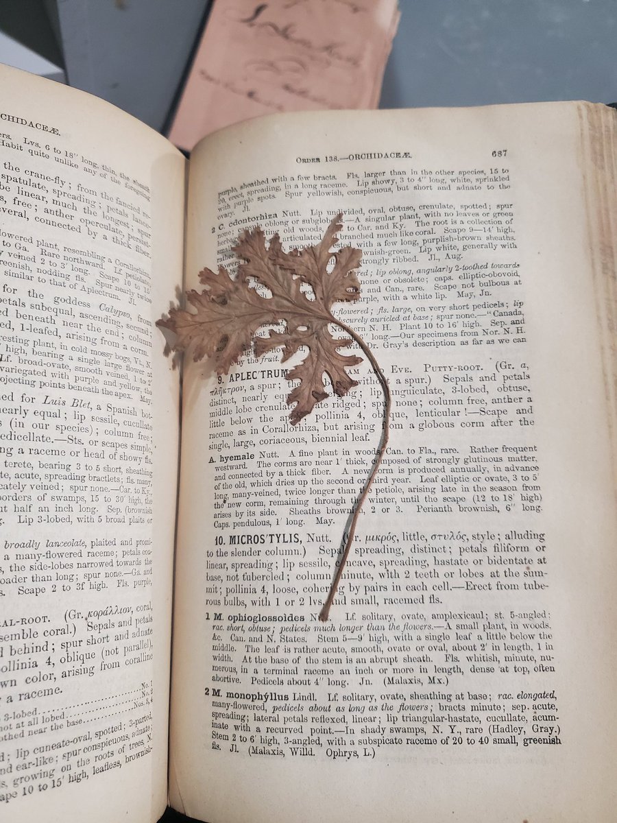 ProbablyFox's tweet photo. Logging this extremely haunted botany book for posterity. Why do I have a book from 1861? Why do I have no memory of this? What spirit cursed me? https://t.co/GFZpWpu34B