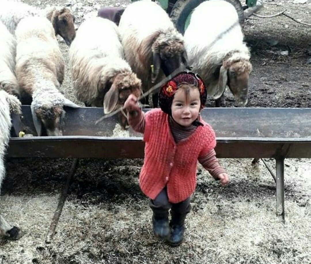 EgitimiSec's tweet photo. Kasımdan geriye
(ağaçlardan) dökülen yapraklar,
Sararan otlar,
Solan çiçekler kalmalıydı...
Acıdan başkası düşmedi yüreğimize...
#Kasım #mueslueme #Gaziantep #KadinaSiddeteHayir #siddetehayır #bebegesiddet https://t.co/BPbJgw5dUd