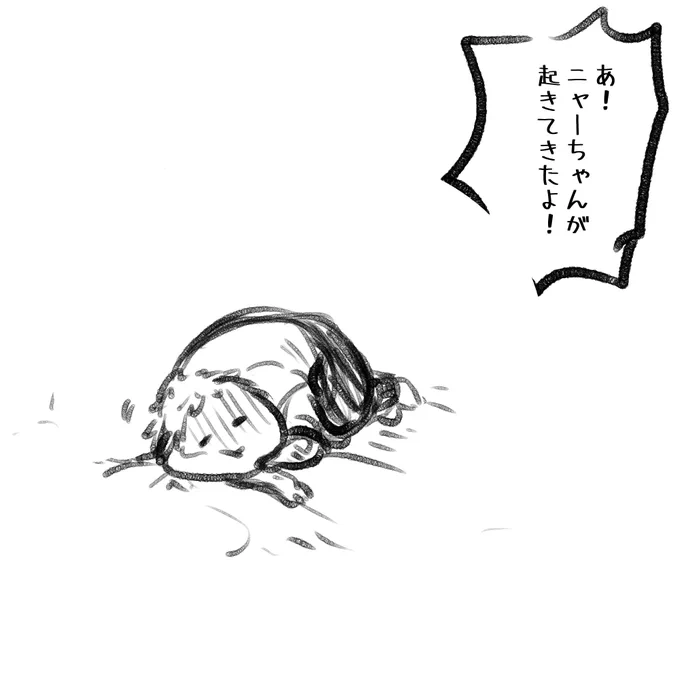 つまりこう

 #しらをの本屋さん 