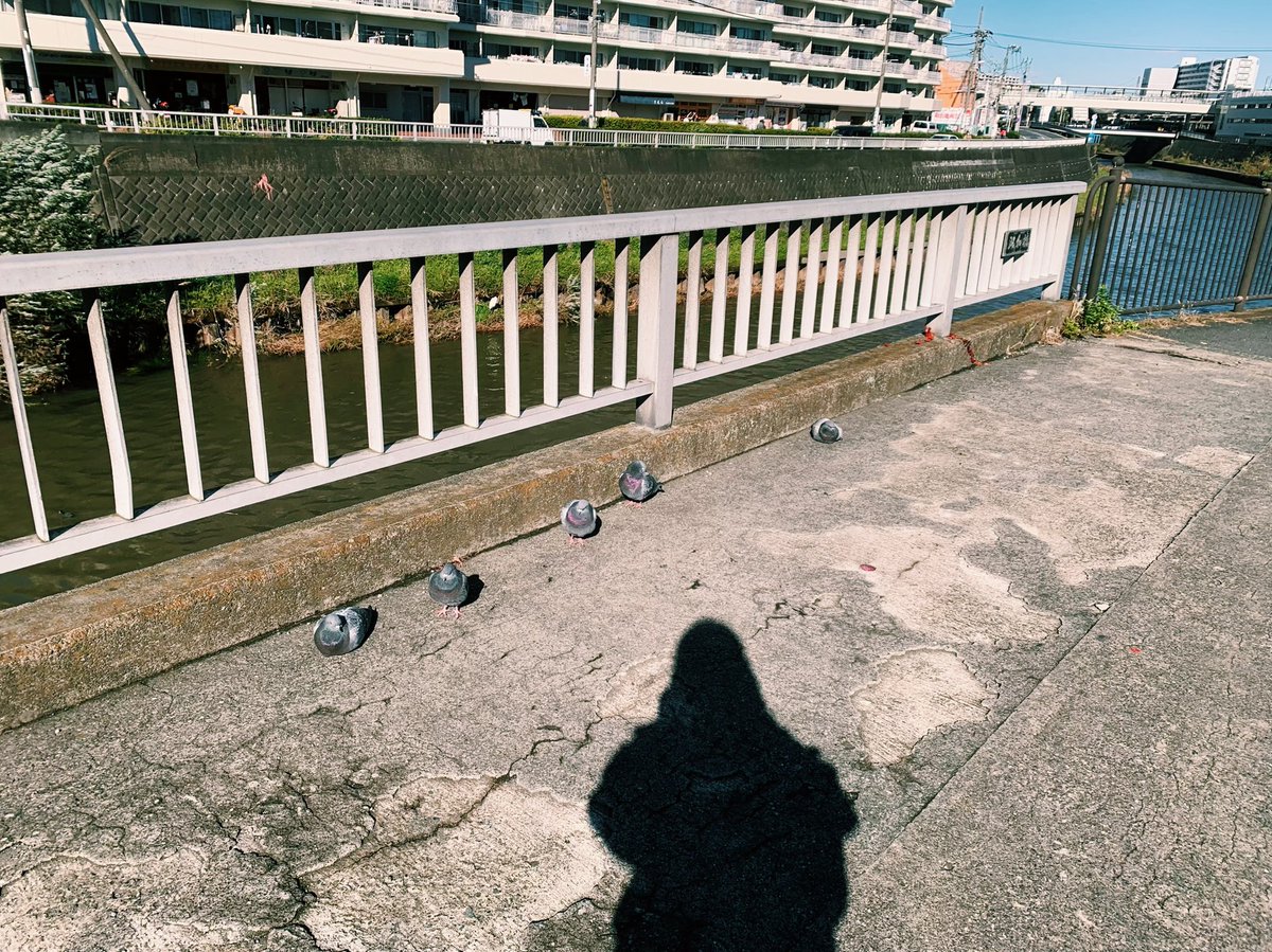 saibo_9's tweet photo. 日向ぼっこしてた https://t.co/Qyk5ee9Erv