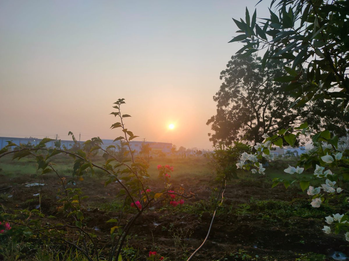 mb_telangana's tweet photo. “Golden hour at it’s very best”

A heartwarming view of the sunrise at Thoggudem’s #MissionBhagiratha 145MLD WTP which receives the first touch of sun rays, being the eastern most part of Telangana. ☀️

@SmitaSabharwal @DayakarRao2019 https://t.co/iYKC0UYbrp