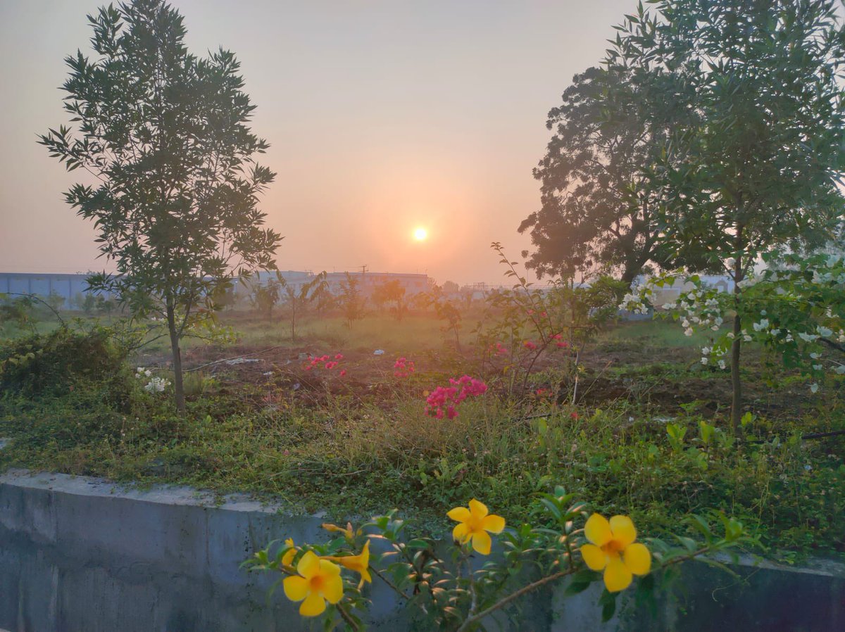 mb_telangana's tweet photo. “Golden hour at it’s very best”

A heartwarming view of the sunrise at Thoggudem’s #MissionBhagiratha 145MLD WTP which receives the first touch of sun rays, being the eastern most part of Telangana. ☀️

@SmitaSabharwal @DayakarRao2019 https://t.co/iYKC0UYbrp