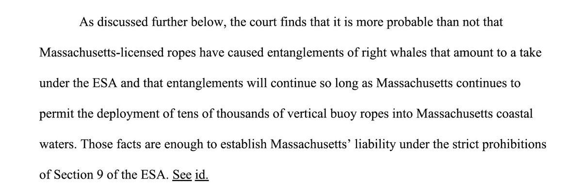 The judge asserts that buoy lines in state waters have and are likely to continue entangling and killing right whales.
