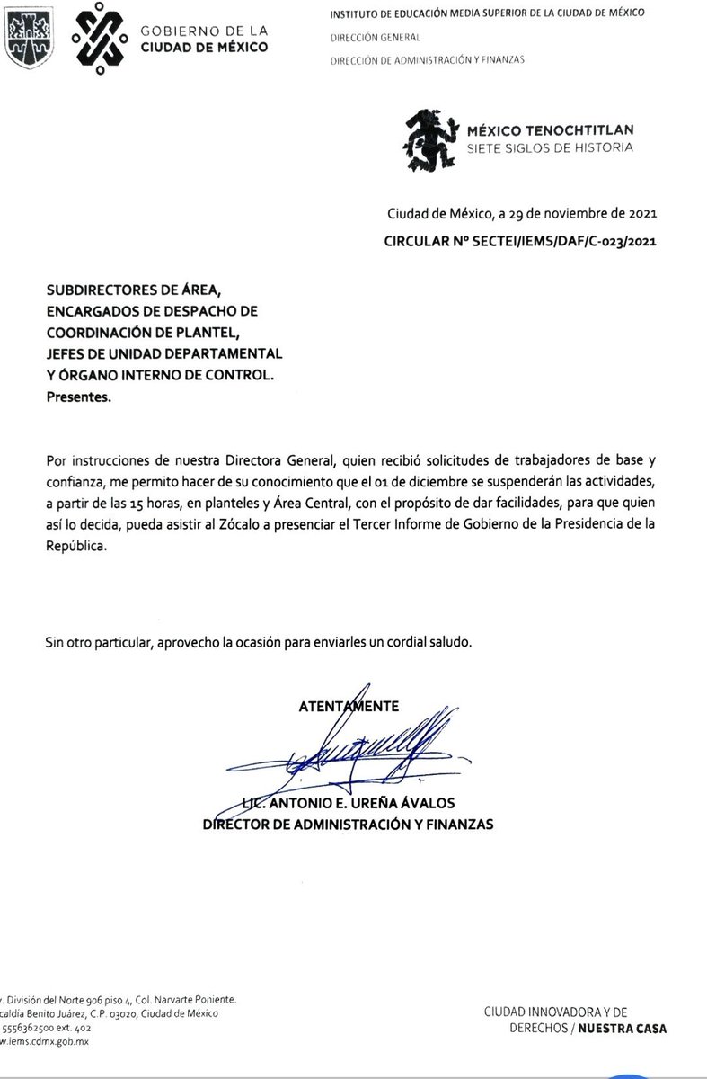 Ana Vega Dominguez tweet media