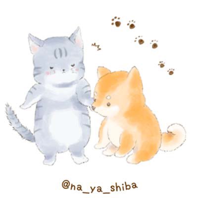 なあや Na Ya Shiba Twitter