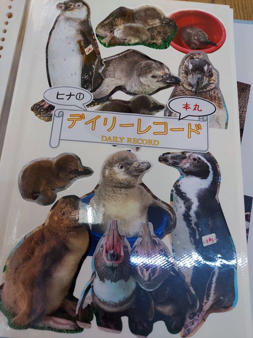 一喜一憂 いっきいちゆう とは 意味と例文が３秒でわかる コトワカ Kotowaka