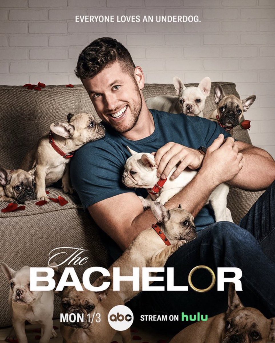 bachnationch's tweet photo. I find it very fucked up that this whole season they have built the storyline that Rodney is an underdog only to not choose him as the Bachelor and give this tagline to this man. AND announce all this the day he was sent home. Very very nasty. #thebachelorette #BacheloretteABC https://t.co/G1d8q8VtMx