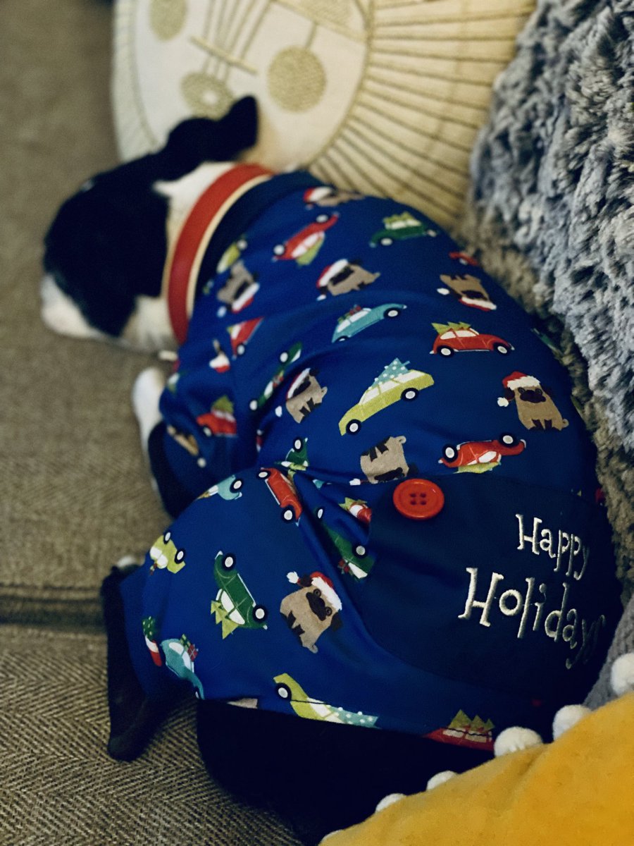 analydiamonaco's tweet photo. Maya Candice Monaco in Holiday pajamas. 😃❤️
#writerdog #filmmakerdog #bostonterrier https://t.co/O1CYDIvJUZ