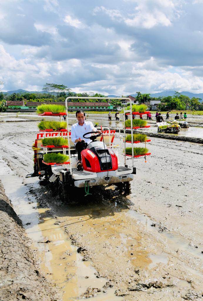 jokowi's tweet photo. Mesin tanam seperti ini sudah digunakan para petani Desa Buluagung di Trenggalek, Jawa Timur. Kemarin, saat menanam padi bersama petani, saya mencoba mengemudikannya langsung di sawah. 

Dengan mesin tanam dan irigasi yang lancar, saya berharap produktivitas petani meningkat. https://t.co/KdiVj00YZz