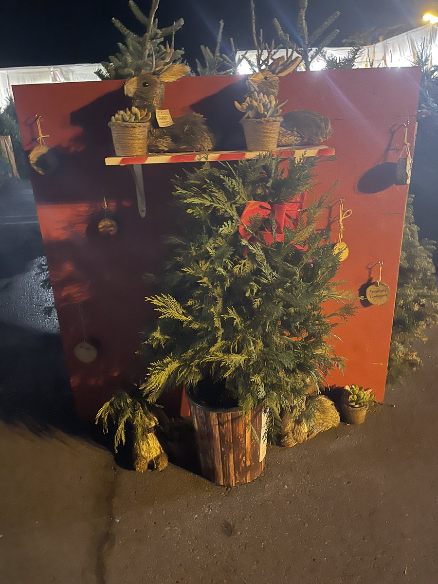 Shane_thd0667's tweet photo. Very happy with our tree lot this year and the associates who helped make it happen. #TreeLotGoals #OrangeFamily https://t.co/E3VAXlBMlZ