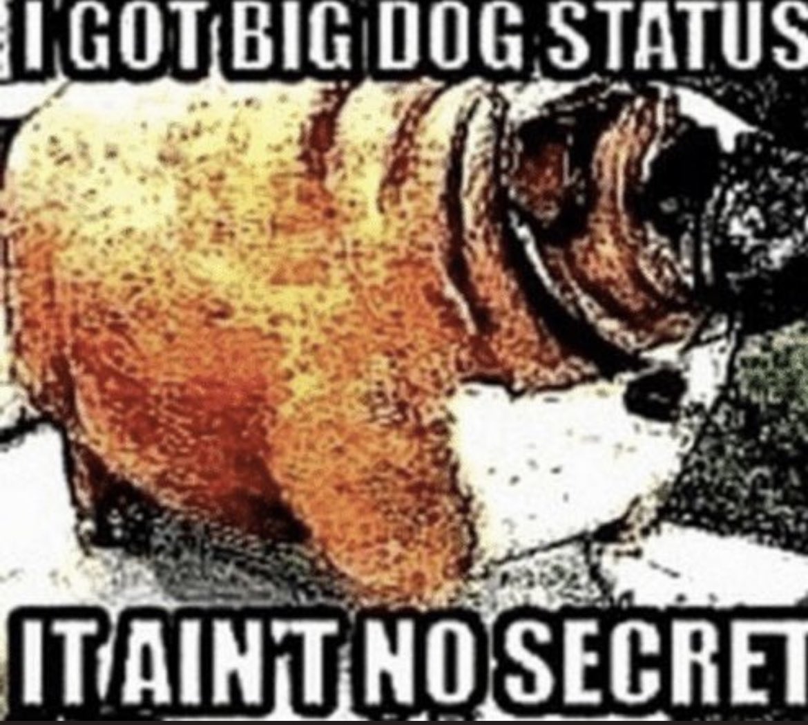 fobsfurgers's tweet photo. @WoofSolana @tradingcrash https://t.co/qbkCFs0Iev