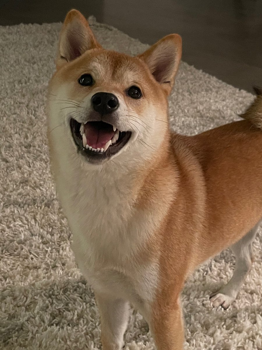 Michael / SONII ☀️ tweet media