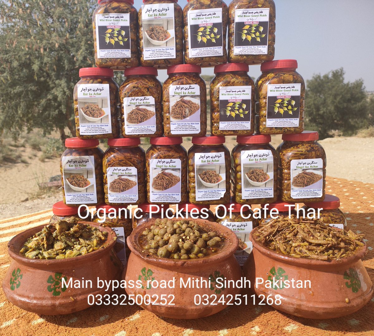 piyaroshivani's tweet photo. If you are going to visit Thar, be sure to visit Cafe Thar Mithi where you will find Pure and organic food Products
Contact
cafethar@gmail.com
03332500252 Whatsapp
03242511268 call
@KolhiDharmendar
@afiasalam
@gabeenaa
@emnpk
@Veerji_Kolhi
@KeshooBai
@CafeThar https://t.co/G7XFJd2uq7