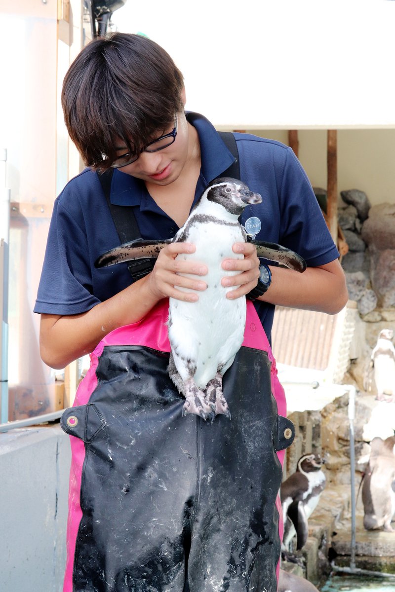 一喜一憂 いっきいちゆう とは 意味と例文が３秒でわかる コトワカ Kotowaka
