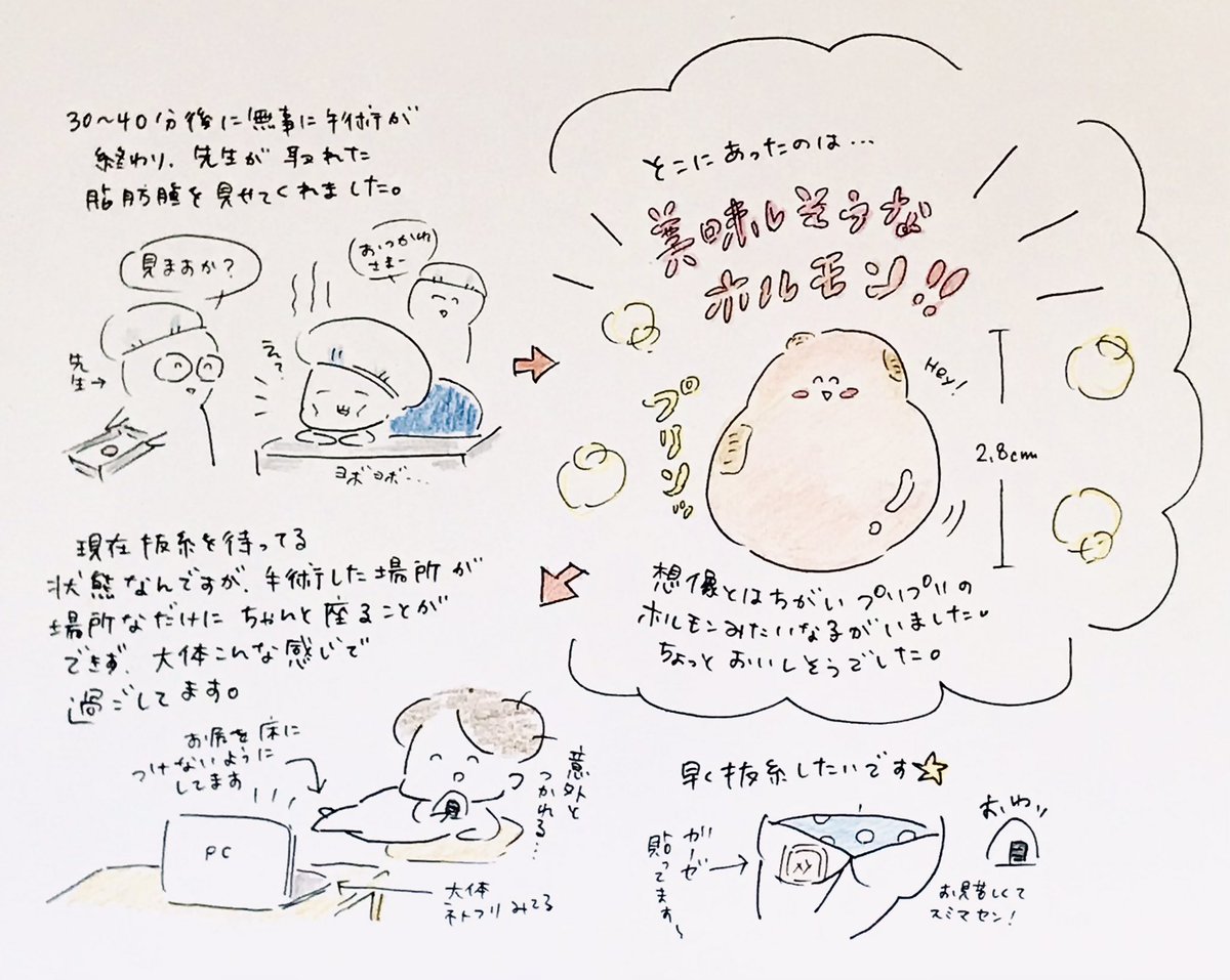 先日「脂肪腫」を摘出してきました!せっかくなんで日記にしました。よかったら読んでください!
ちなみにヘポとはヘッポコの略です(どうでもいいね!)

#マンガ #日記 