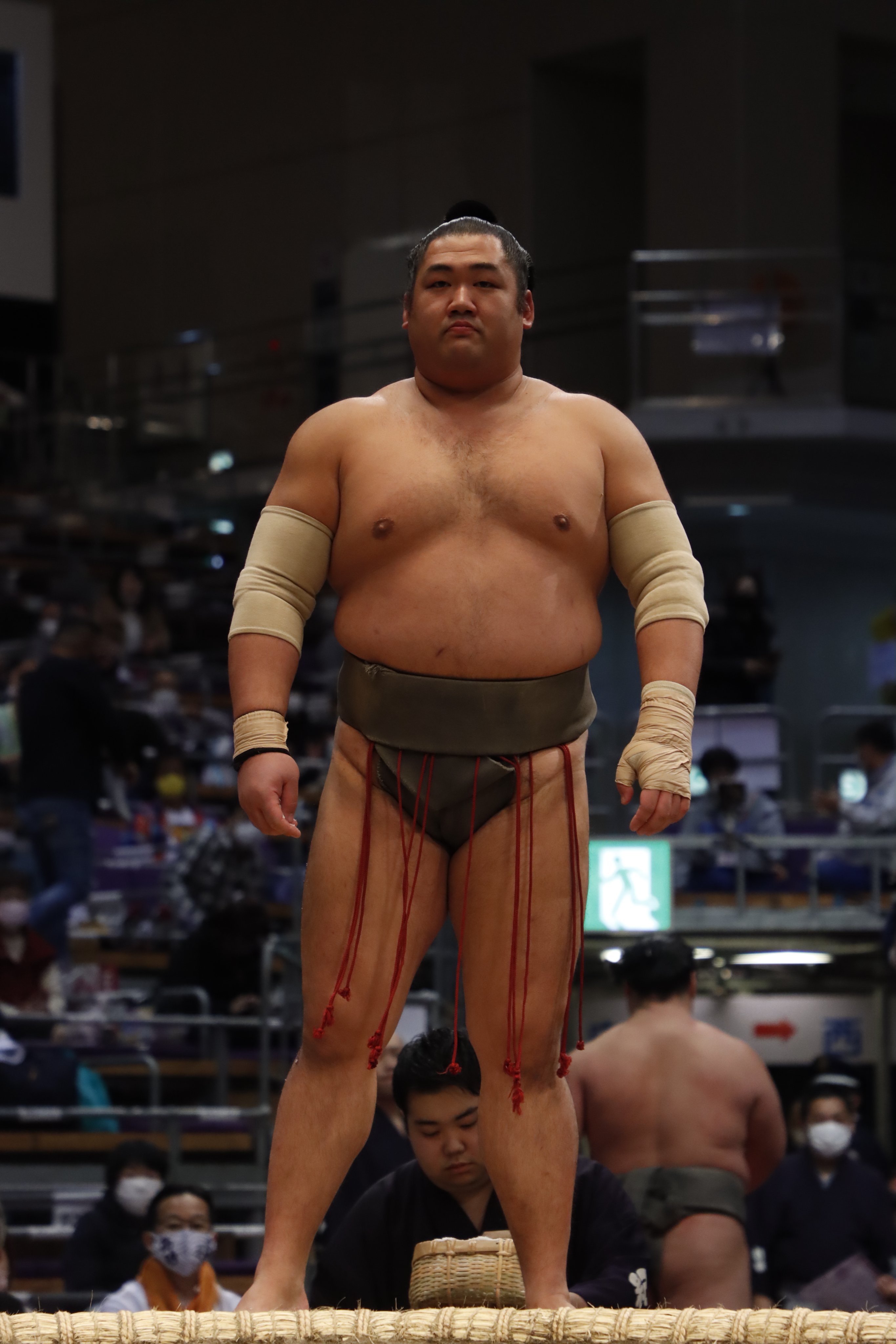 八角部屋 Hakkakubeya Twitter