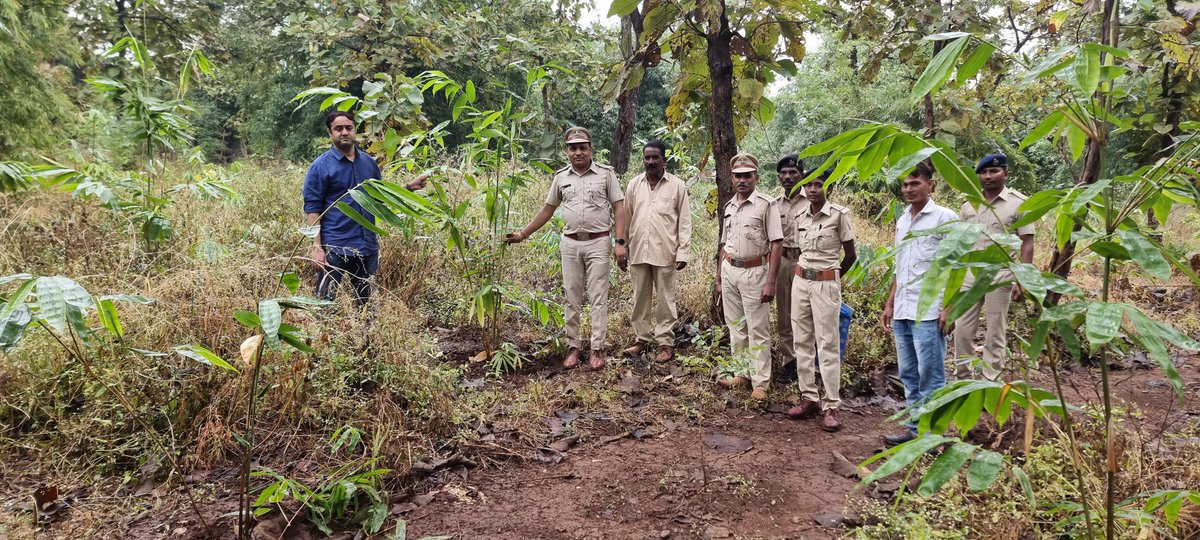 Anilpat23509527's tweet photo. મેં. Dcf sir ni visit Dollu vas Rhyzome bank nursary &amp; dollu plantation Range-umarpada.. https://t.co/biIeMSDz57