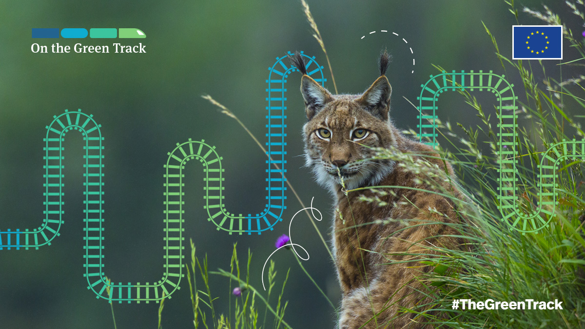 📣 Call to all young entrepreneurs, students, scientists, artists from 🇪🇺

Ahead of <a href="/UNBiodiversity/">UN Biodiversity</a> #CoP15 &amp; the #EuropeanYearofYouth, speak up #ForNature &amp; join our 🆕 campaign: #TheGreenTrack

Send us YOUR ideas before 10 December:
ec.europa.eu/environment/th…
(in all 🇪🇺 languages)