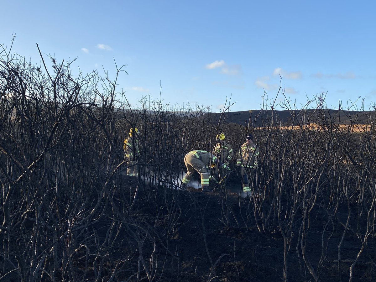 DWFRSSwanageStn's tweet photo. Appliances from #Swanage #Wareham and #Poole are back at on a Studland Heath this morning damping down hotspots #swanage #poole #wareham #studland #studlandheath #studlandfire #bournemouth #dwfrs #fire https://t.co/gTZojUmDxj