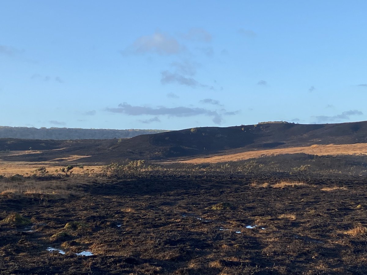DWFRSSwanageStn's tweet photo. Appliances from #Swanage #Wareham and #Poole are back at on a Studland Heath this morning damping down hotspots #swanage #poole #wareham #studland #studlandheath #studlandfire #bournemouth #dwfrs #fire https://t.co/gTZojUmDxj