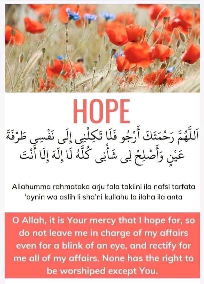 hadithday's tweet photo. https://t.co/ZTP2swo3nB