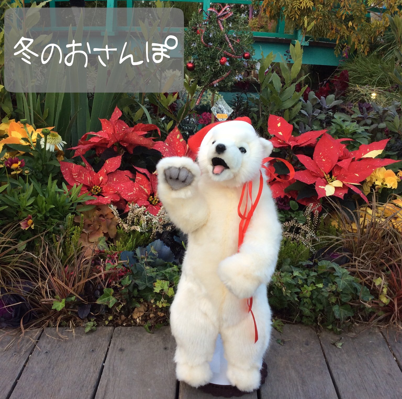 Bear Labo 西武池袋店 Bear Labo Twitter