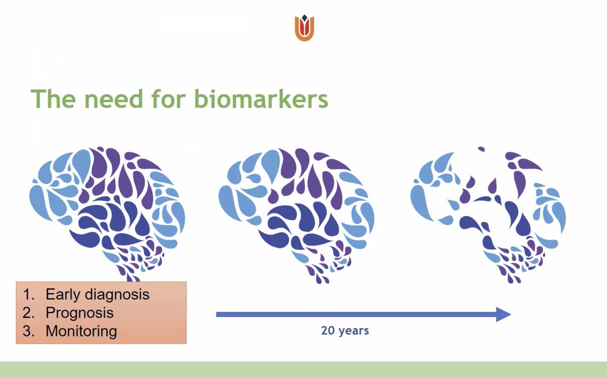 ChrisBintener's tweet photo. The parallel session on fluid biomarkers as strategic tools for counteracting dementia is starting now! 
Join @CharlotteTeuni1 @MIRIADE10  @leighannkimble for this great #31AEC conference session (platform only works for registered conference attendees)

https://t.co/XDoJPMRoUM https://t.co/CkB7C881mu