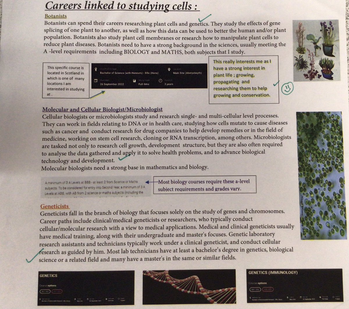 Year 12 Biologists researched a career linked to their topic of Cells including epidemiologists, haemotologists, pathologists. For Tilly this was right up her street with her ambition to obtain a degree in a Bachelor of Science studying botany!