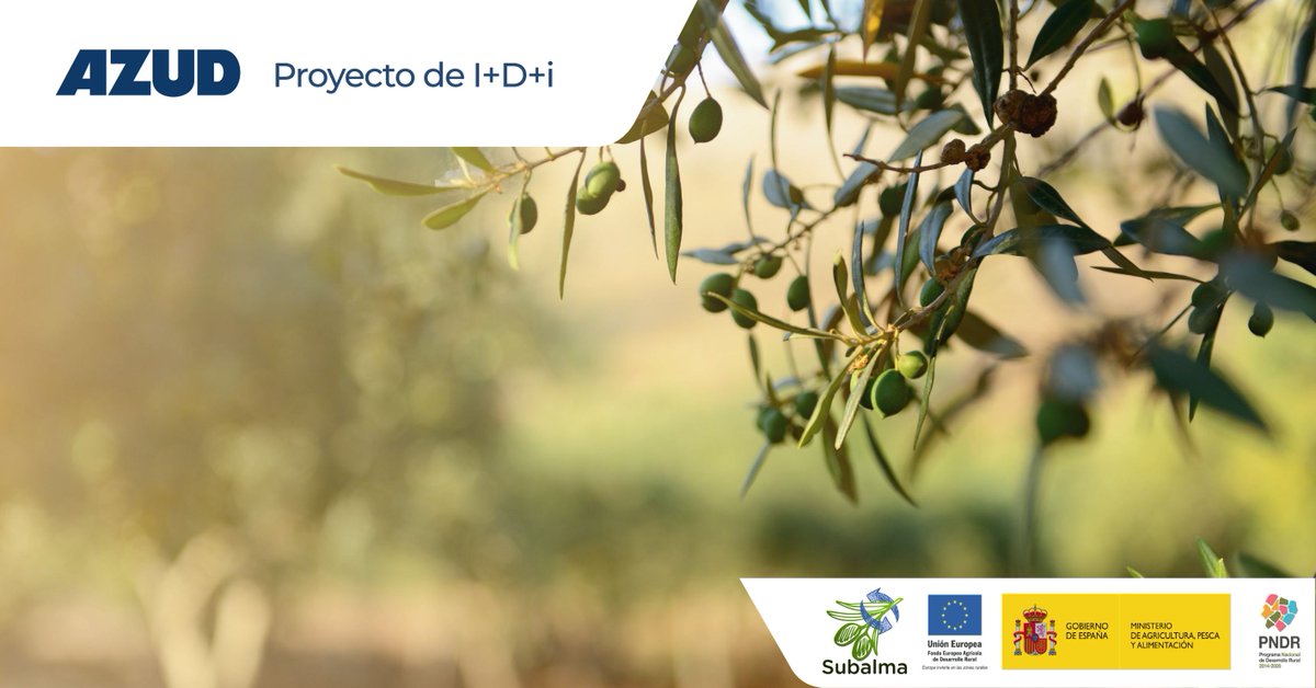 AZUDWater's tweet photo. ¡Workshop a la vista!👏

Mañana nuestra compañera Beatriz Masdemont participará en el workshop "Oportunidades Tecnológicas y buenas prácticas de circulación sectorial".
Además de presentar el Proyecto #SUBALMA.

➡ Para asistir, inscríbete aquí: https://t.co/kIgjBnOvyy https://t.co/zWWs0o5A8V