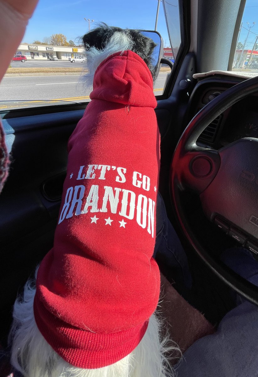 tgradous's tweet image. #LetsGoBrandon
If you think the world has gone to the dogs, you’d be mistaken. Dogs might be born @TheDemocrats, but after 2 weeks they open their eyes 👀
@pjamesjp1 @marylene58 @qnoftherealm @The_Real_Feisty @2cowboys4u @catwahler @DineshDSouza @HerschelWalker @DrMartyFox