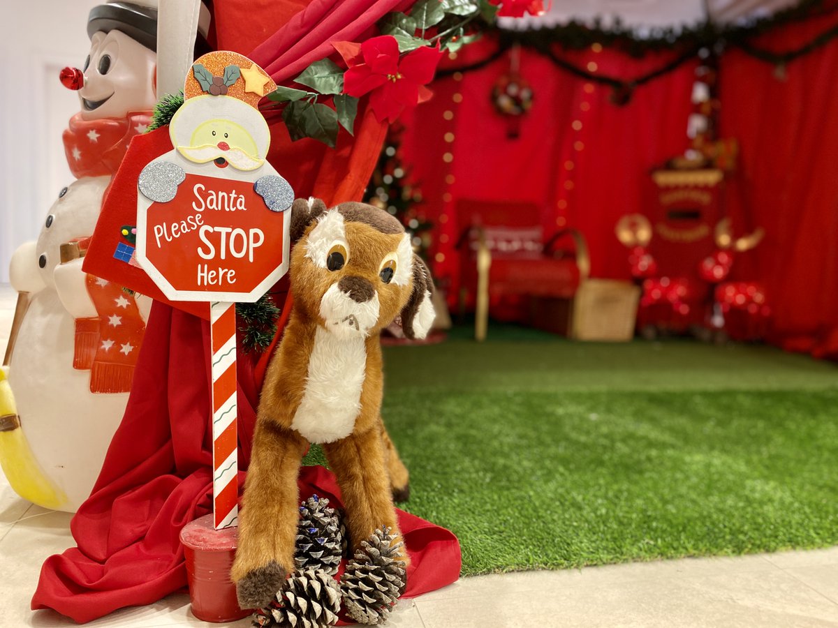 alohacollege's tweet photo. The #ACM Parents' Society mums have brought the #Christmas spirit to our school... Santa's Grotto is all ready for the Big Day! We are all anxious for #Santas visit π
π€Άπ #alohacollege #family https://t.co/EPqvJuPRhX