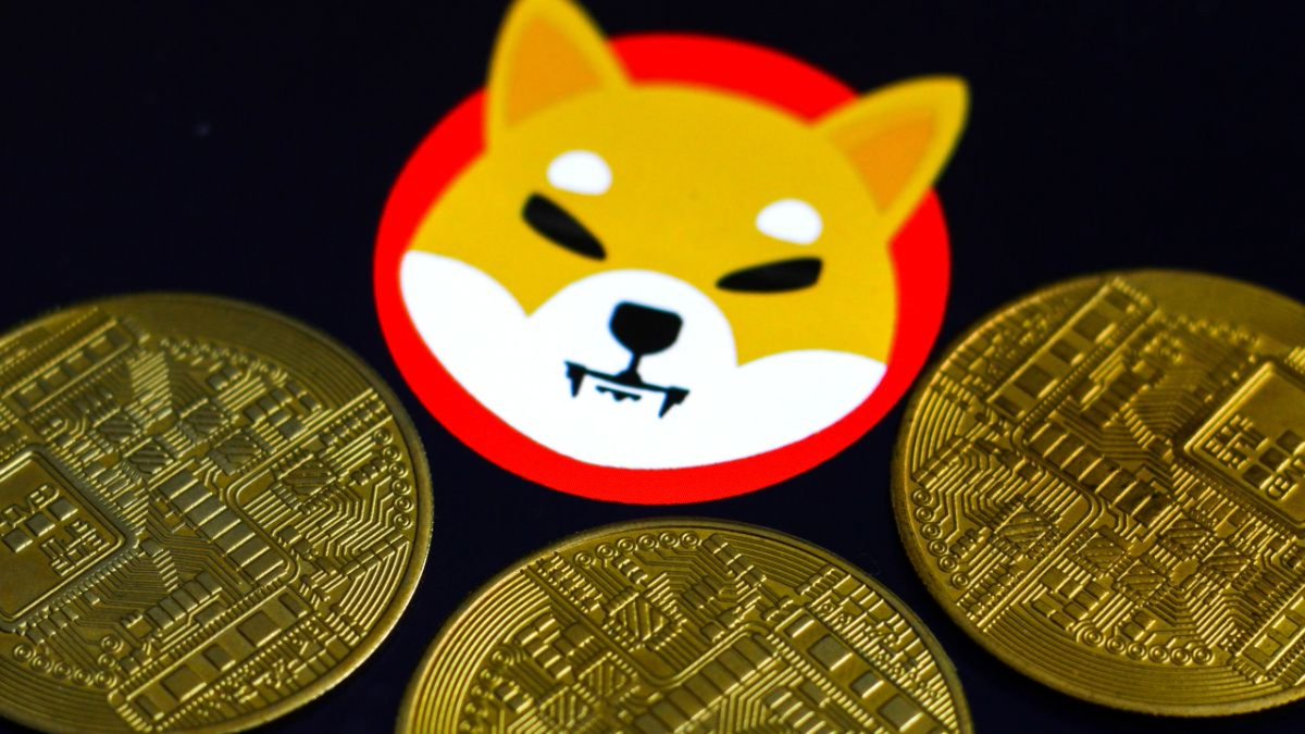 Ünlü girişimciden Shiba Inu ve Dogecoin’e ağır eleştiri! • shiftdelete.net/wall-strett-ku…