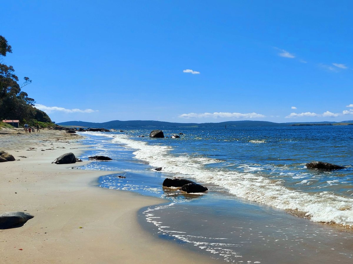 Prof Jane Alty tweet media