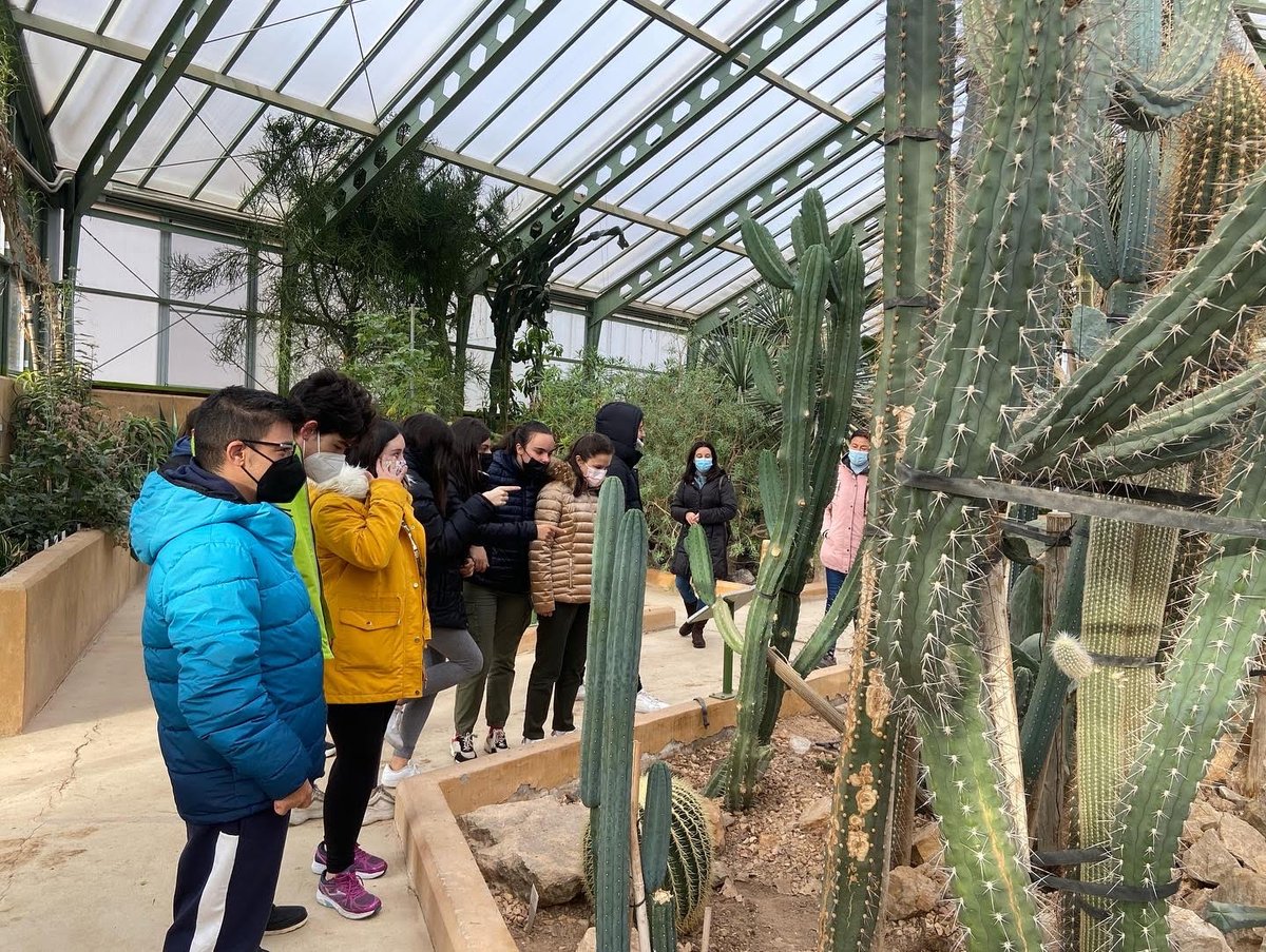 IESVandelvira's tweet photo. Visita de los alumnos del PEFP al @jardinbotanicoclm. Allí pudimos experimentar las estaciones del año en uno de los lugares con mayor biodiversidad de #clm. Visita muy recomendable. #educajccm #formacionprofesional #formacionprofesionalespecifica #estaciones #biodiversidad https://t.co/hqyb33ngLN
