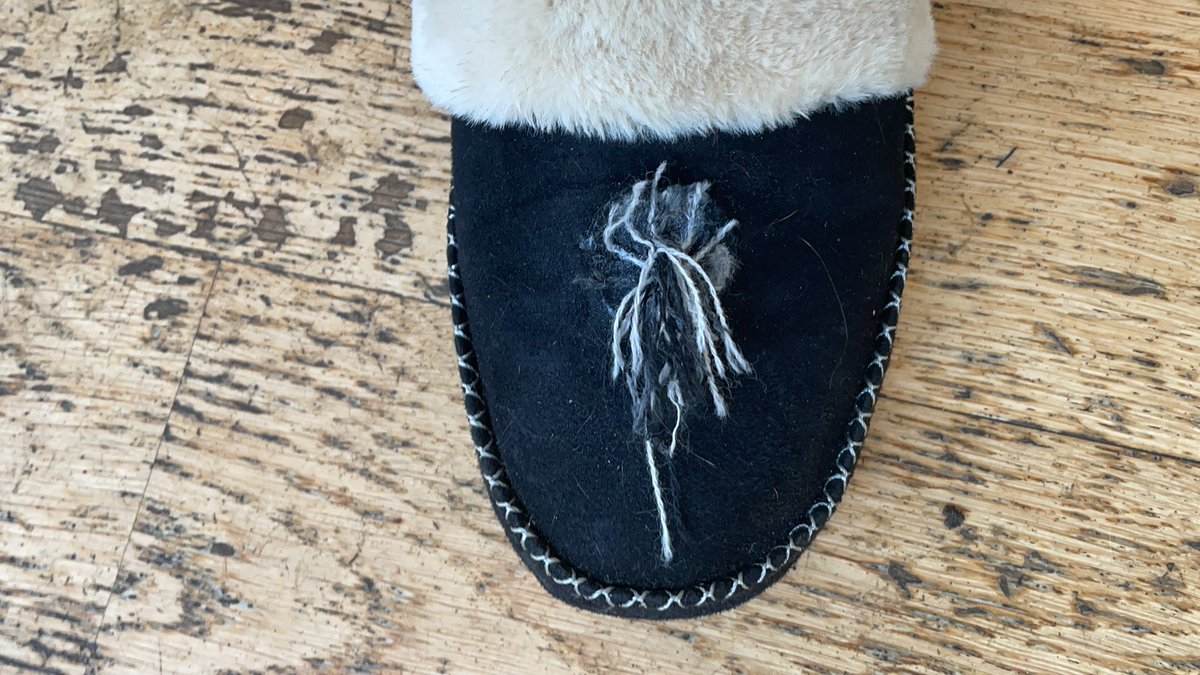 PhilippaBudgen's tweet photo. Sorry to declare. The dog ate my Pom Pom. Itโs a scandal! @katejbines #slippergate https://t.co/rJOXDrcwTX