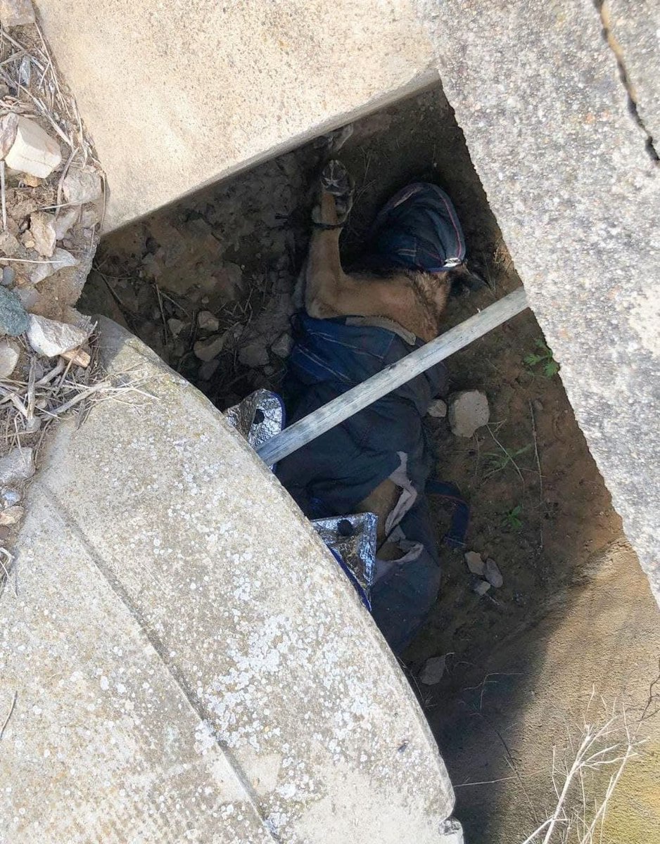⚠️ Hallado un perro atado con bridas, asfixiado hasta la muerte con una bolsa y tirado entre <a href="/Ayto_VvaAriscal/">Ayto. Villanueva del Ariscal</a> y <a href="/olivares_ayto/">Ayuntamiento de Olivares</a>.
Han alertado a la Policía Local, pero nadie ha acudido. ¿ES QUE SU VIDA NO IMPORTA?
Exigimos a los alcaldes <a href="/MartinTorCas/">Martín Torres Castro</a> e Isidoro Ramos que actúen YA.