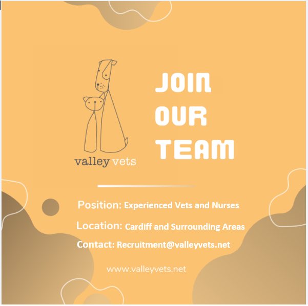Are you looking for an exciting new career move? 

We are recruiting for both nurses and vets at our Veterinary Hospital and our branch practices!

For more information please email recruitment@valleyvets.net

#vets #nurses #recruitment  #valleyveterinaryhospital #vetpartners