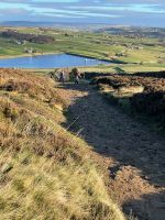 LDWA Environment tweet media