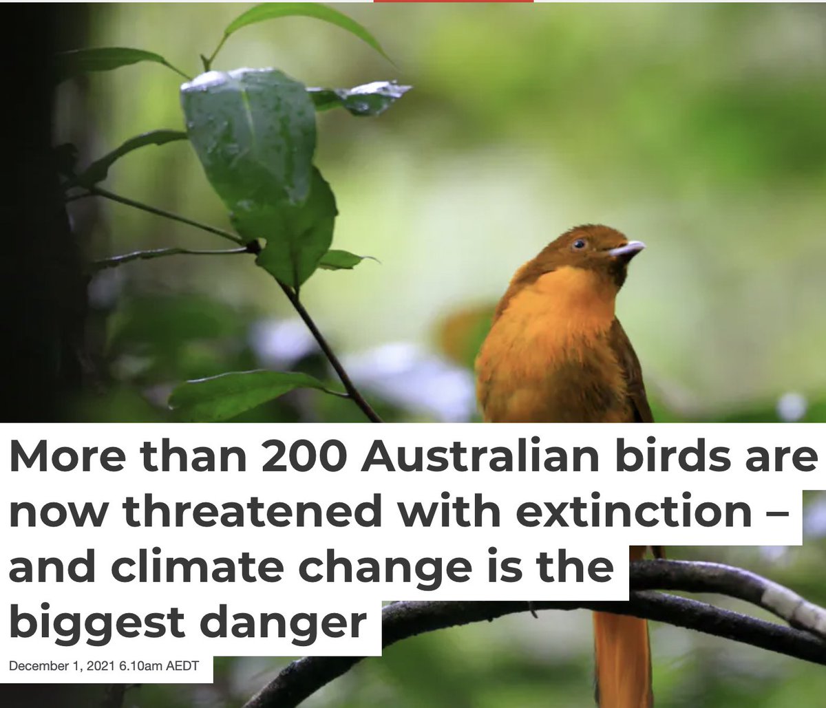 Vets4climateact's tweet photo. Climate change is an animal welfare issue.

Sign our petition if you agree - https://t.co/5PVGGaDpCi

#ClimateChange #ClimateAction #Wildlife #Birdlife #VetsforClimateAction #AnimalWelfare https://t.co/du8KCohzPj